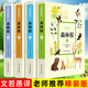 新款全譯本】精裝彩圖全4冊(cè)森林報(bào)全集文若愚春夏秋冬比安基著完整版四五六年級(jí)小學(xué)生老師必讀課外名著閱讀書兒童書籍四冊(cè) 【精裝全譯本】森林報(bào)套裝四冊(cè)