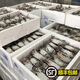 10斤一整箱特大號梭子蟹 凈重7-8斤新鮮鮮活冷凍梭子蟹超大號螃蟹 10斤大號 4-6兩/只(凈重7-8斤)