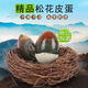 梅氏松花皮蛋鄱陽(yáng)湖麻鴨蛋無(wú)鉛工藝溏心單枚55-60克 12