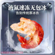 龍蝦尾冷凍生鮮無冰衣小龍蝦尾鮮凍級蝦球商用龍蝦尾小龍蝦尾 一級無冰150頭左右【1斤】