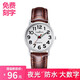 時(shí)間故事老人手表大數字超清爸爸媽媽中老年人手表女式電子表進(jìn)口機芯腕表送爺爺奶奶禮物防水夜光石英表女式 中號銀殼咖色皮帶白盤(pán)男女通用款夜光 加粗數字