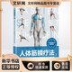 人體筋膜療法 北京科學(xué)技術(shù)出版社 (德)克拉斯·施泰希曼 著(zhù) 方怡青 譯 新華正版書(shū)籍包郵