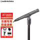 鐵三角（Audio-technica） AT2031小振膜電容麥克風(fēng)鋼琴古箏吉他小提琴弦樂(lè)器錄音話(huà)筒 AT2031標(biāo)配