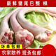 順豐新鮮豬尾巴現(xiàn)殺農(nóng)家土豬長(zhǎng)中短尾巴整根散養(yǎng)批發(fā)鹵味生鮮食材 短豬尾巴【1斤裝】整根
