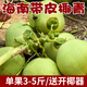鮮友季海南文昌椰子椰青大果新鮮椰子現(xiàn)摘現(xiàn)發(fā)送開椰器和吸管孕婦水果 7枚帶皮椰青（單果3斤-5斤）