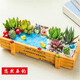 簡(jiǎn)詩(shī)多肉植物帶盆綠植花卉盆栽組合套餐辦公室多肉diy創(chuàng)意微景觀盆景 悠然垂釣