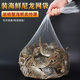 SKIDS螃蟹網(wǎng)兜裝青蛙塑料包裝網(wǎng)袋龍蝦尼龍小網(wǎng)眼袋子水產(chǎn)絲編織袋 白色50cm加厚網(wǎng)兜 100個(gè)