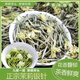 貢茶澗茶葉2025新茶茉莉花茶茉莉銀針特級全芽茶葉禮盒禮品濃香耐泡 【品質(zhì)好茶】茉莉銀針 250克