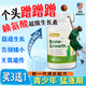 WEUED美國賴氨酸生長素學(xué)生鈣片青少年補鈣兒童4-6-13歲11-17歲助長高 激活骨骼線【4-24歲助力長高】 長高藥增高藥青少年賴氨酸生長激素兒童鈣鐵鋅咀嚼鈣片