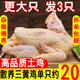 王氏正德雞 雞肉生鮮 三黃雞3只 農(nóng)家散養(yǎng)土雞走地雞童子雞新鮮冷凍白條雞 三黃雞約850g*3只 帶料包