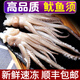 現(xiàn)切魷魚須小腳新鮮冷凍火鍋燒烤鐵板批發(fā)海鮮水產(chǎn) 精品8斤裝 現(xiàn)切鮮嫩小魷魚須
