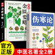 【全2冊】傷寒論+金匱要略 正版張仲景原著圖解傷寒雜病論白話文中醫(yī)養(yǎng)生書籍