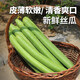 密農(nóng)人家密農(nóng)優(yōu)選新鮮絲瓜 綠皮絲瓜 鮮嫩肉絲瓜  新鮮蔬菜 絲瓜500g