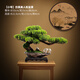 臻凡仿真綠植盆景植物盆栽家居客廳玄關(guān)辦公室桌面裝飾假樹迎客松擺件 【小號】江山如畫-美人松