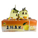 京鮮氣玉環(huán)文旦柚 新鮮當季白心柚子臺州楚門(mén)文旦柚白柚子整箱禮盒 甄選優(yōu)果4枚【禮盒款】