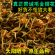 廣西金銀花干中藥材500g野生特級無(wú)硫嬰兒洗澡上火喝金銀花茶散裝 野生金銀花250g【家庭選擇】 真野生金銀花-帶絨毛
