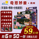 巴巴象奇思妙象高端新品 紙尿褲一體拉拉 學(xué)步褲新生嬰兒超薄透氣尿不濕 一體學(xué)步褲（全包裹） XXXL碼