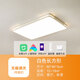 小米有品已接入米家APP智能吸頂燈小愛(ài)同學(xué)簡(jiǎn)約現代客廳臥室書(shū)房陽(yáng)臺燈 45W 地方白60*40CM小愛(ài)同學(xué)