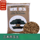 兩腿跑日本進(jìn)口硬質(zhì)赤玉土 三本線(xiàn)整袋大包裝 鋪面盆景營(yíng)養土原 3-6mm整袋約20斤江浙滬皖