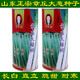 三育系列山東正宗章丘大蔥種子 鐵桿大梧桐蔥種籽 蔥白長(cháng)四季水果種孑脆甜 200克桶裝大梧桐9號+栽培書(shū)