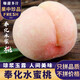 鑫果滋 奉化水蜜桃 浙江寧波桃子水果玉露脆甜蜜桃可撕皮水密桃新鮮禮盒 【5斤實(shí)惠中大果】12-15個(gè)裝