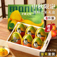 京地達攀枝花凱特芒 凈重8斤單果550g 四川大芒果禮盒水果源頭直發(fā)包郵