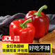 良知農(nóng)哥 【順豐/JD】新鮮圓椒五彩椒綠色七彩甜椒 健康輕食 5斤 全紅色