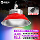 歐思韻新款12V24V36V生鮮水果燈led照明燈電瓶車擺攤夜市調(diào)光調(diào)色水果燈 100W帶罩12-85V品字頭+3米線