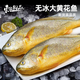 東上御品 山東新鮮冷凍深海整條大黃花魚(yú)凈重400-500g/條*2條 源頭直發(fā)
