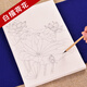 臻言 工筆畫(huà)白描底稿手繪荷花畫(huà)譜云母熟宣線描 初學(xué)者美術(shù)基礎(chǔ)教程臨摹練習(xí)創(chuàng)作 熟宣紙蓮花水彩國(guó)畫(huà)上色 大幅，白描荷花97張，共97種圖案