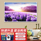 鑫萬(wàn)豐石墨烯電熱板取暖器家用電暖氣片壁掛式取暖畫(huà) 電暖畫(huà)碳晶墻暖電熱畫(huà)壁畫(huà) 工程框1200瓦-D303 紫韻