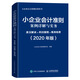 小企業(yè)會(huì )計準則案例詳解與實(shí)務(wù) 條文解讀 科目使用 賬務(wù)處理 2020年版 財政部小企業(yè)會(huì )計準則培訓