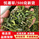 北京同仁堂憂遁草中藥材新鮮曬干憂遁草 優(yōu)盾草 黎王草鄂嘴花優(yōu)頓草茶中草藥 500克[新貨](méi)
