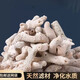 邊勝珊瑚骨濾材優(yōu)質(zhì)珊瑚砂魚缸過濾材料菲律賓珊瑚沙提高PH濾材海水 珊瑚骨10斤+網(wǎng)袋