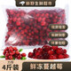 【現(xiàn)貨】黑龍江撫遠(yuǎn)新鮮蔓越莓冷凍鮮果 女性泡水酸水果莓果漿果 【鮮凍蔓越莓】 2斤（普快）
