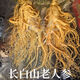 花色堂特大保鮮參老人參泡酒專用人參長(zhǎng)白山人參吉林人參園參鮮人參煲湯 足齡參王(高品質(zhì))嚴(yán)選400克