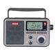 德生（Tecsun） RP-309數碼音響型收音機U盤(pán)TF卡音頻播放大音量 標配+充電器