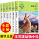 【新華書(shū)店】沈石溪動(dòng)物小說(shuō)全集36/40冊全套品藏書(shū)系 8-10-12-15歲兒童文學(xué)三四五六年級中小學(xué)生課外閱讀書(shū)籍 狼王夢(mèng) 斑羚飛渡 第七條獵狗 【淺綠特輯】沈石溪動(dòng)物小說(shuō)6冊