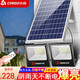 志高（CHIGO）太陽能燈戶外庭院燈一拖一拖二家用超亮大功率防水照明投光燈 雙燈聚光1500W+1500W照射約500
