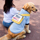 嬉皮狗（hipidog）大狗狗金毛的薄款衛衣拉布拉多柴犬寵物薩摩耶中型大型犬春秋衣服 藍色背包 6XL （建議體重50-60斤）
