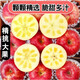 墨煜冰糖心蘋果 當(dāng)季精選大果脆甜可口紅富士丑蘋果水果禮盒整箱