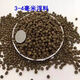 通威大包裝魚(yú)飼料 通威魚(yú)飼料金魚(yú)錦鯉通用型上浮顆粒魚(yú)食散裝魚(yú)糧 養 3-4MM上浮顆粒5斤