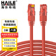 HAILE海樂內(nèi)外網(wǎng)轉(zhuǎn)接專網(wǎng)跳線HT-913A-3M 防雙網(wǎng)防混插防違規(guī)3米紅色