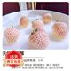 歐悟 四季草莓苗 奶油草莓秧帶盆帶土草莓樹(shù)苗庭院陽(yáng)臺盆栽地栽果樹(shù)苗 天使ae草莓20棵裸根帶泥 高度7-15cm