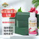 德沃多肥料鮮花插花泥*6塊+鮮花保鮮液50ml園藝花店用品插花泥泡沫花泥吸水