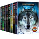 沈石溪動(dòng)物小說(shuō)鑒賞 套裝全8冊（狼王+象王+鷹王+火焰冰+月光森林+猴王+豺王+狗王）