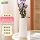 呂姆克花瓶陶瓷輕奢簡(jiǎn)約條紋磨砂花瓶書(shū)桌電視柜客廳擺件陶瓷花瓶8730