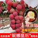 霖畔嫁接妮娜皇后葡萄樹(shù)苗公主女皇王后南方北方種植盆栽地栽特大葡萄 10年大苗豐產(chǎn)苗