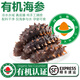 太湖海【有機(jī)海參】刺參孕婦兒童水產(chǎn)新鮮冷凍獨立包裝即食海參年貨禮盒 有機(jī)海參-1斤裝（12-14頭）