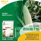 京農(nóng)研玉米種子336甜糯玉米黑白鮮食水果玉米農(nóng)科院大田打糧玉米種籽孑 農(nóng)科糯336甜加糯玉米 約120粒